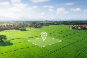 choosing the right lot
